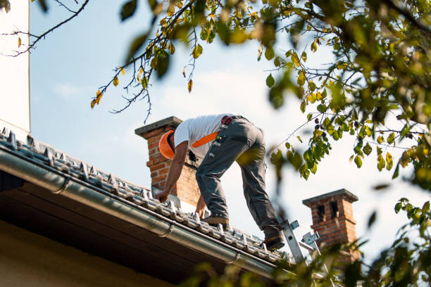 Best Roof Maintenance Services  in North Weeki Wachee, FL