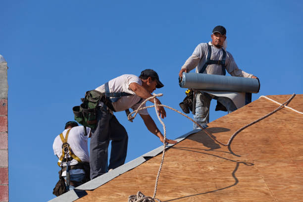 Best Flat Roof Repair Services  in North Weeki Wachee, FL