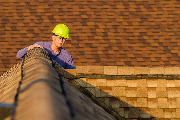 Best Roof Gutter Cleaning  in North Weeki Wachee, FL